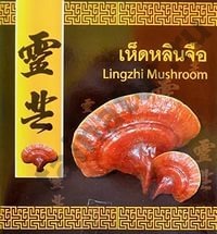 Натуральные сушёные грибы Линчжи 