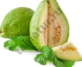 Гуава (Guava) 