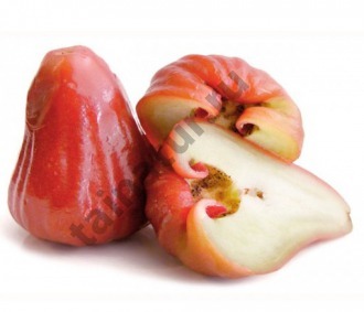 Яблоко розовое (Tubtimjan Rose Apple)