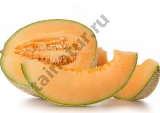 Дыня (Melon)